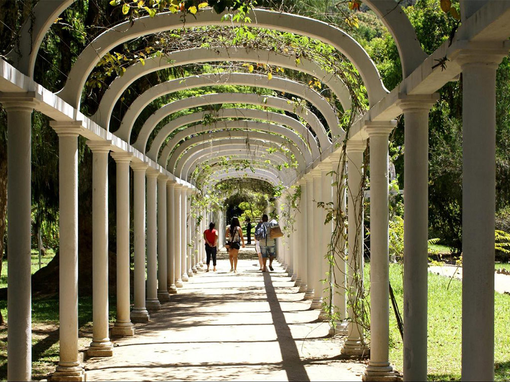 Botanical Garden of Rio de Janeiro