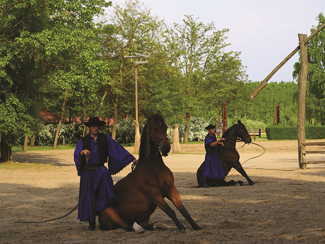 Puszta Tour from Budapest