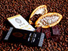 Half Day Fun Factory Tour and Chocolate Making