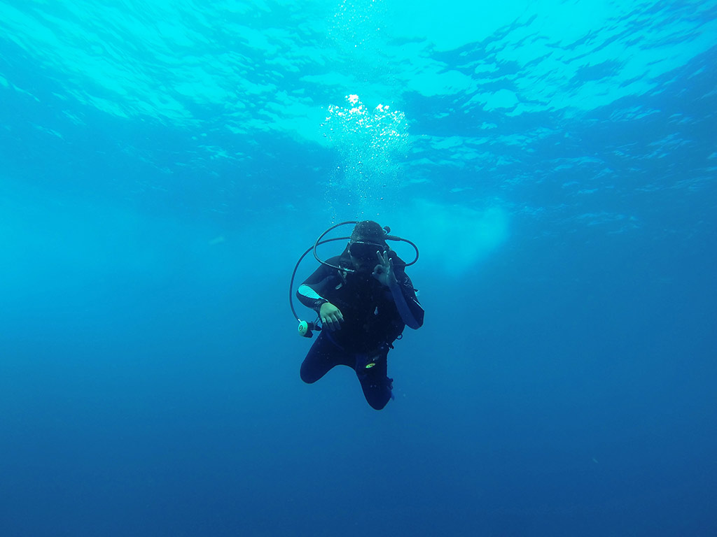 Diving in Blue Sea of Huatulco