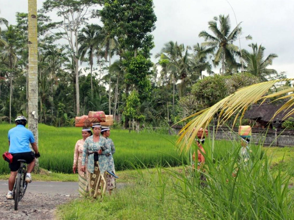 Ubud Cycling Half Day Tour