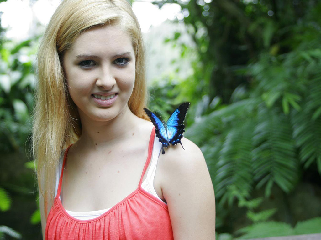 Grand Kuranda Experience - Full-Day Tour - Cairns - QLD