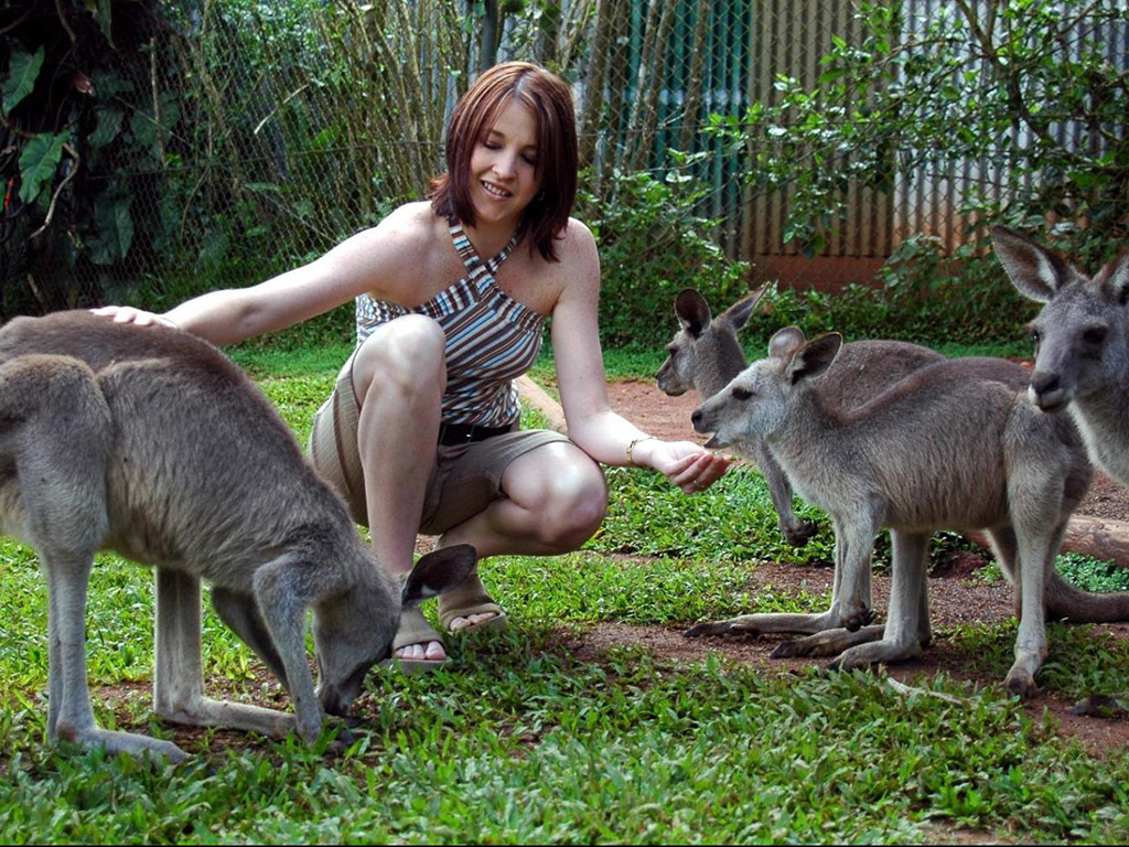 Grand Kuranda Experience - Full-Day Tour - Cairns - QLD