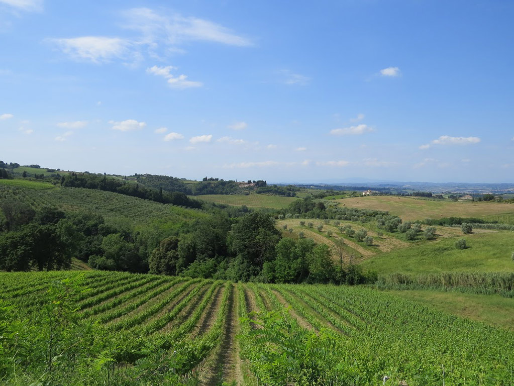 San Gimignano, Monteriggioni and Chianti with Wine Tasting and Lunch - Florence