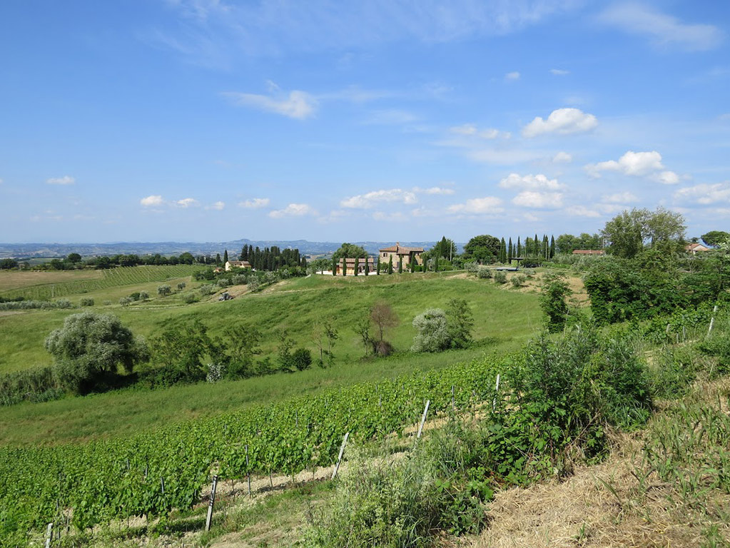 San Gimignano, Monteriggioni and Chianti with Wine Tasting and Lunch - Florence