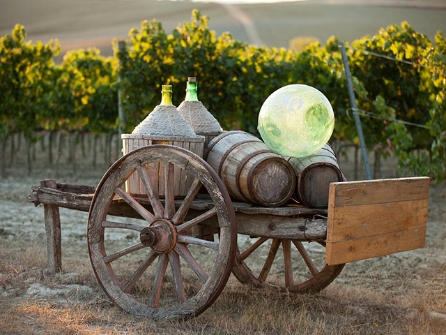  The Essence of Tuscany: Chianti Classico, Montalcino and Montepulciano - Small Group Tour