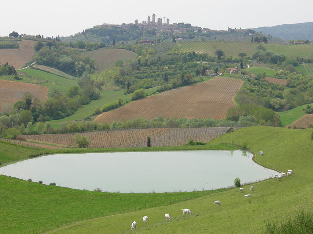 The Essence of Tuscany: Chianti Classico, Montalcino and Montepulciano - Small Group Tour - Florence