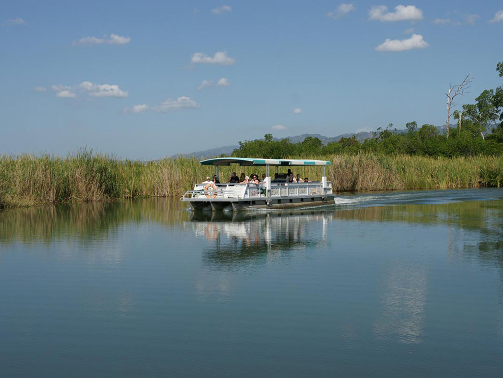 Black River and YS Falls - Full-Day Tour - Negril