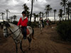Horse Ride with lunch