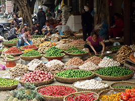 Hanoi Street Food Tastes- Half-Day Walking Tour