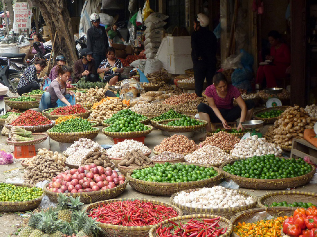 Hanoi Street Food Tastes- Half-Day Walking Tour