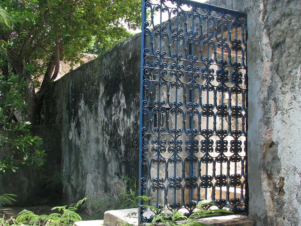 Prison Island Tour - Zanzibar