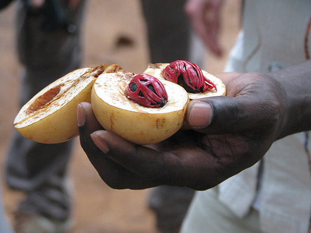Zanzibar Spice Tour