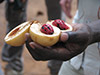 Zanzibar Spice Tour