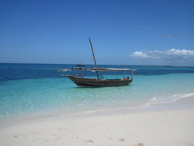 Safari Blue: Day of Aquatic Activities - Zanzibar