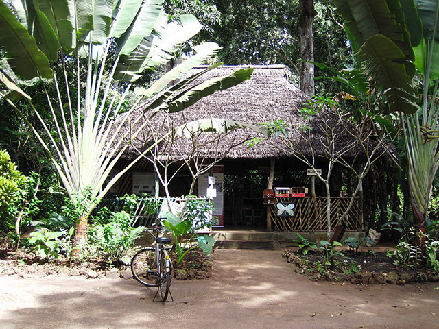 Learn Social, Economical and Political Activities of Rural Zanzibar