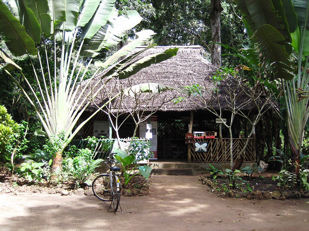 Learn Social, Economical and Political Activities of Rural Zanzibar