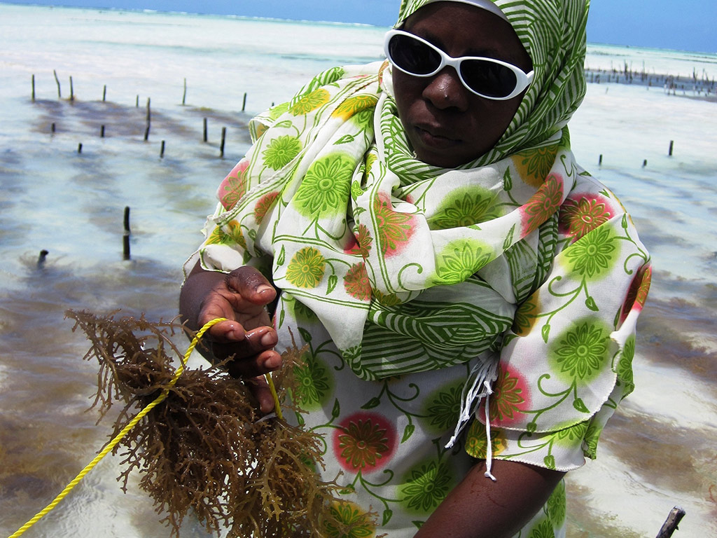Learn Social, Economical and Political Activities of Rural Zanzibar