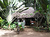 Learn Social, Economical and Political Activities of Rural Zanzibar