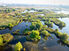 Bucharest Delta Walking Tour
