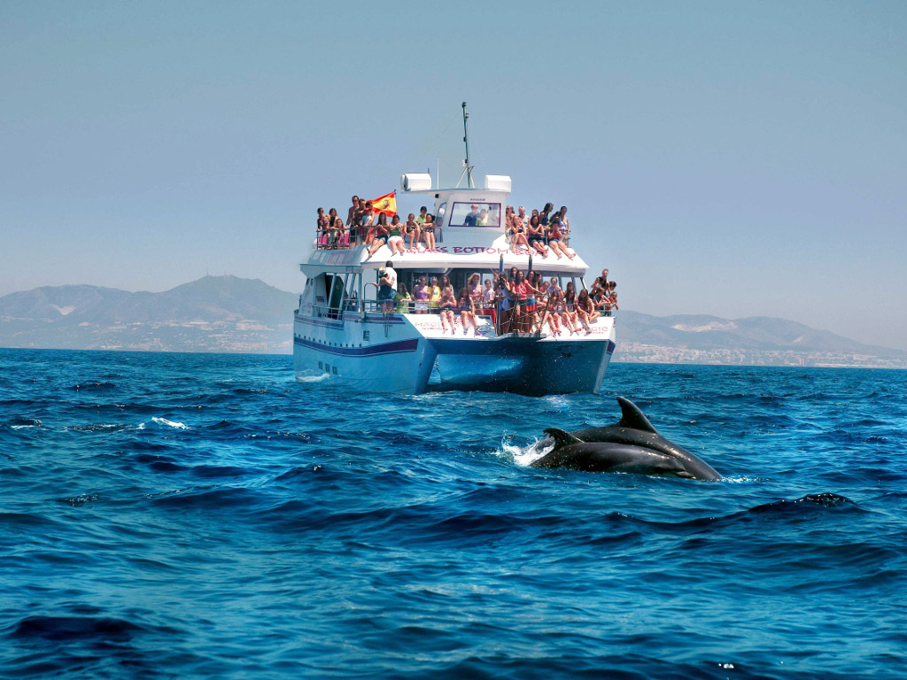 Dolphin Watching Boat Tour