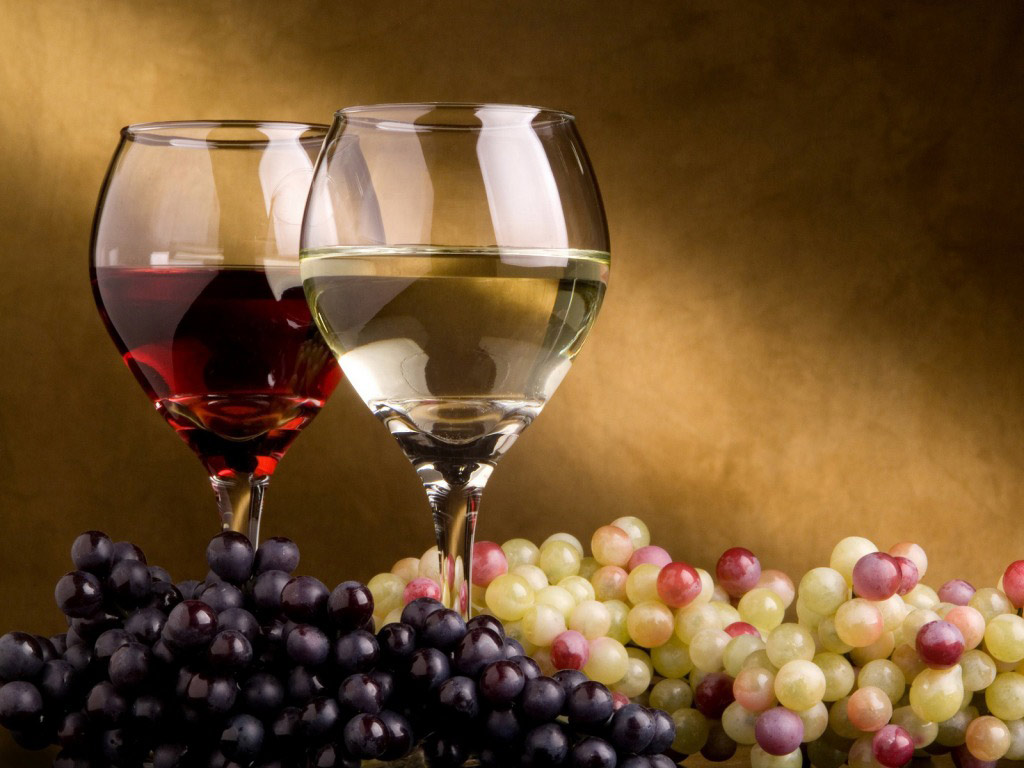 Peljesac Wine Region - Private Full-Day Tour		 - Dubrovnik - South Dalmatia