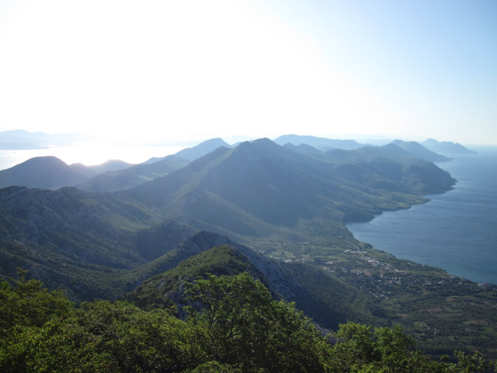 Peljesac Wine Region - Private Full-Day Tour		 - Dubrovnik - South Dalmatia
