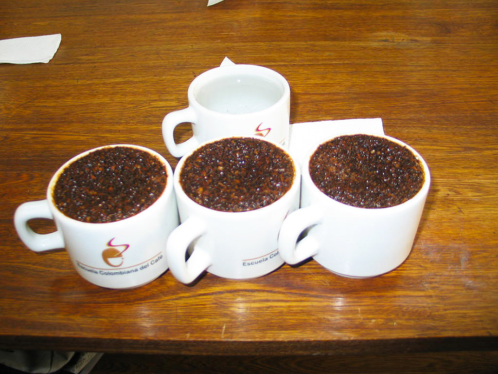 Coffee tasting and visit to gold museum - Bogota