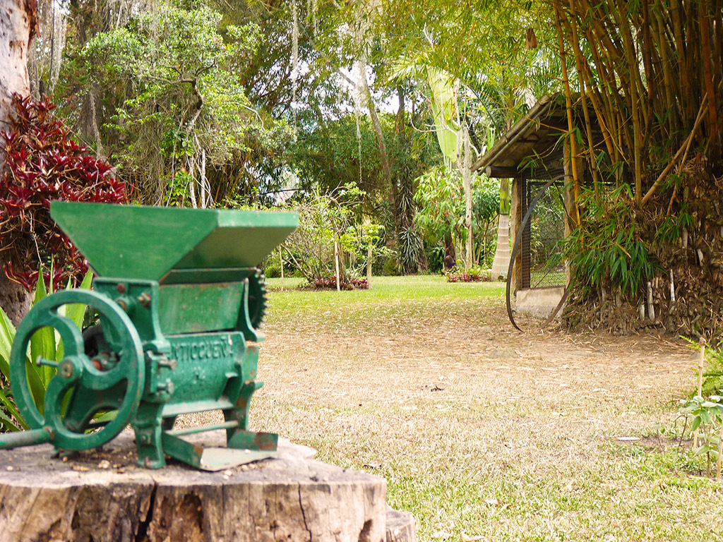 Tour to a coffee farm near Bogota