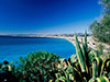 Italian Riviera Private Day Trip