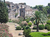 Best of Pompeii