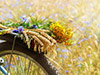 Chianti Half Day Tour