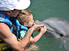 Encounter in Dolphin Cove Ocho Rios
