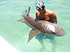 Shark Encounter in Dolphin Cove Ocho Rios