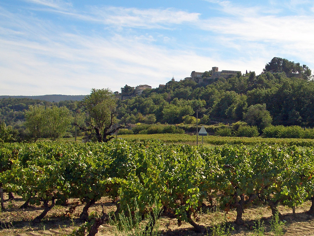 Provence in One Day