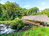 Mindo Full Day Tour