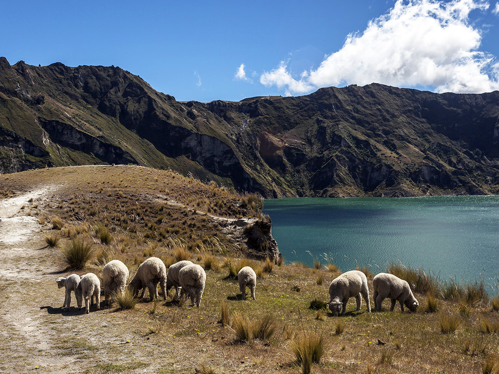 Quilotoa - Full-Day Tour - Quito