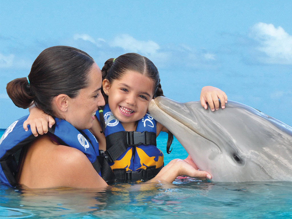 Aquaventuras Dolphin Encounter