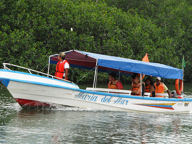 Puerto del Morro Tour, Dolphin Watching and Birth Island - Guayaquil