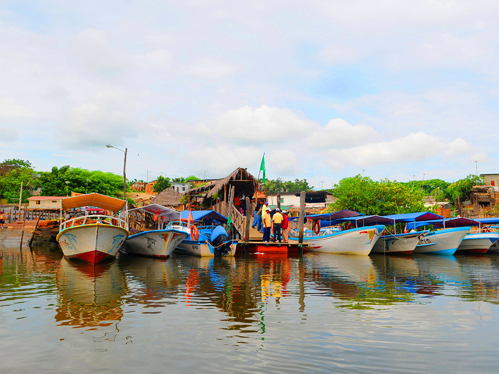 Puerto del Morro Tour, Dolphin Watching and Birth Island - Guayaquil