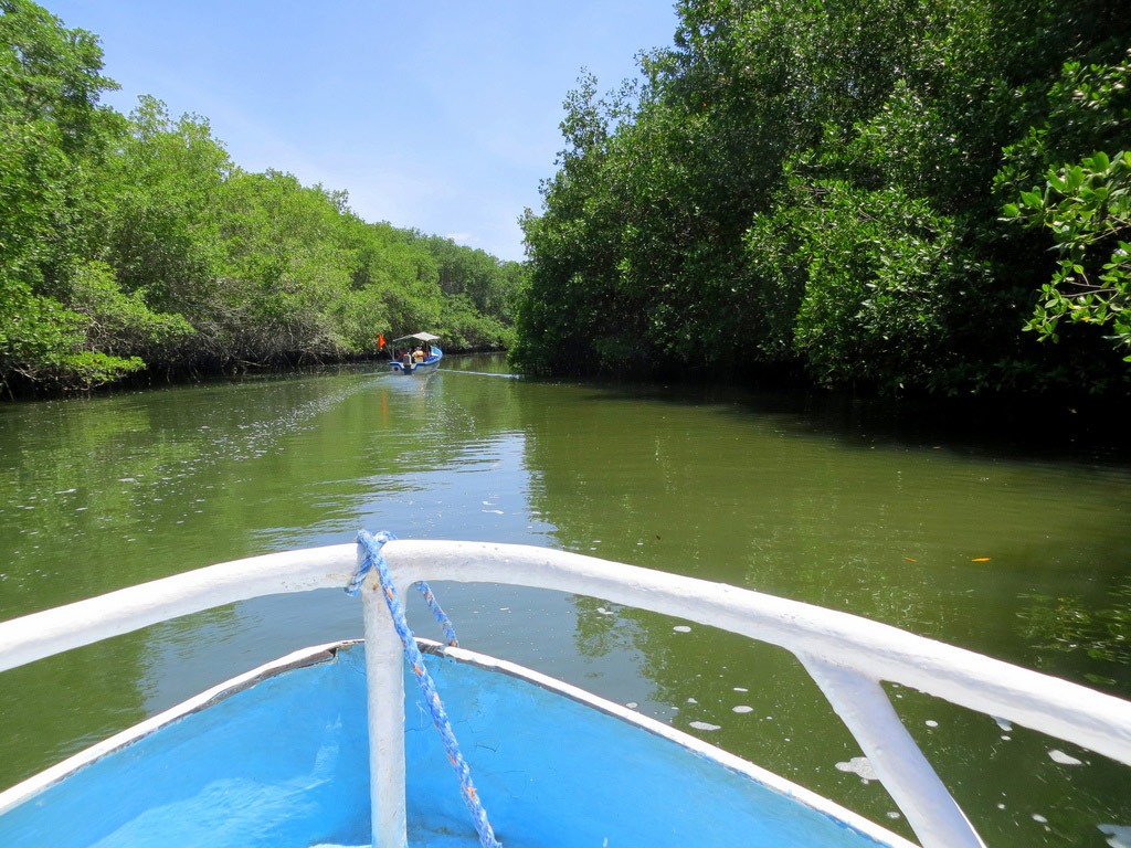 Puerto del Morro Tour, Dolphin Watching and Birth Island - Guayaquil
