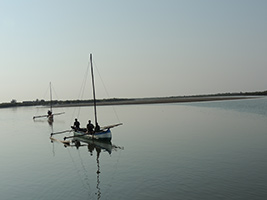 Experience Nature at Marofandilia Private Reserve