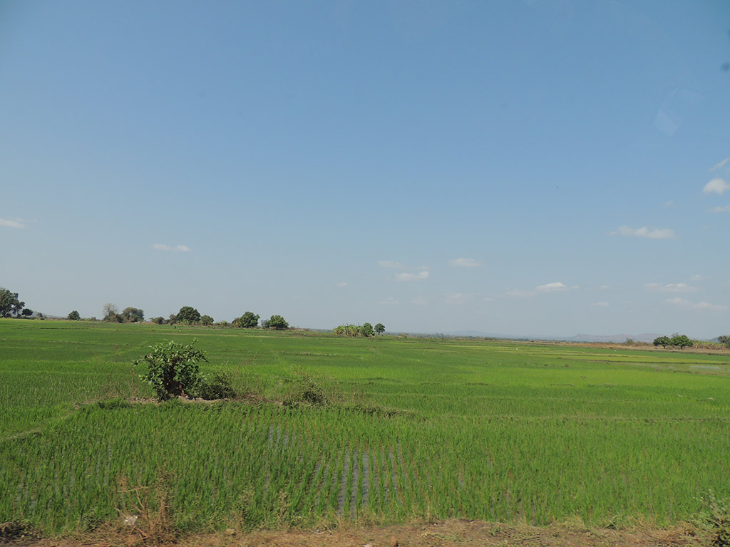 Marofandilia Private Reserve - Morondava