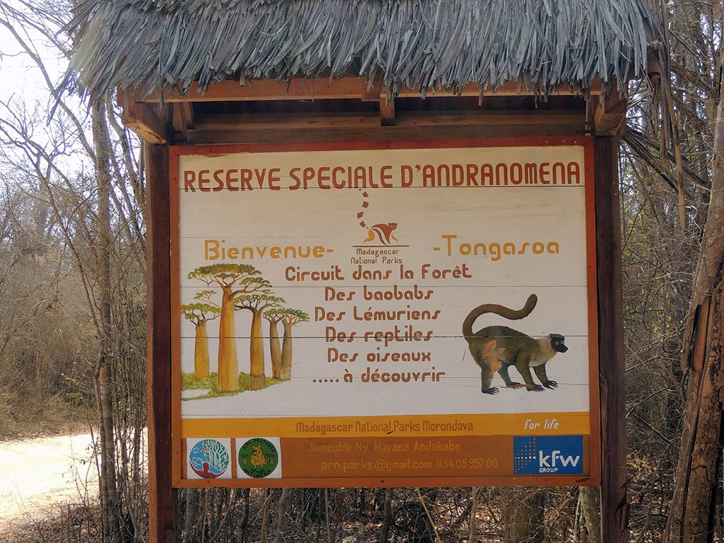 Explore Andranomena Special Reserve in Morondava