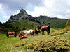 4x4 Adventure Tour in Transylvania – 1 Day