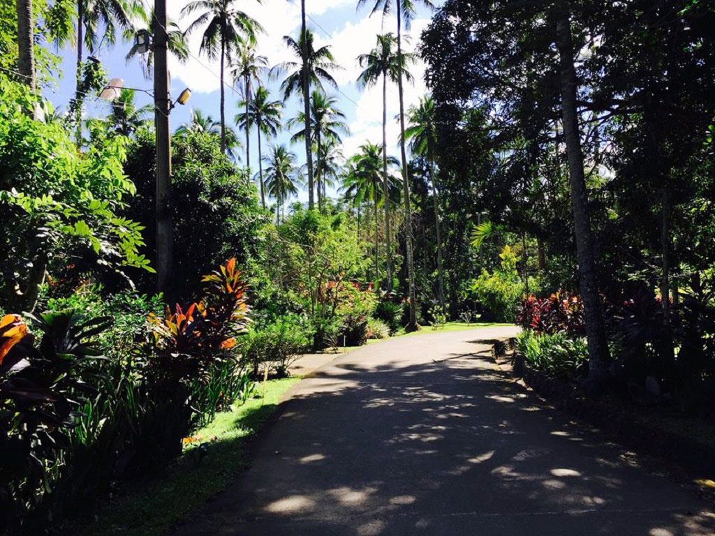 Discovering Hidden Valley - Metro Manila