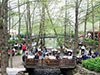 Sapanca & Kartepe Tour