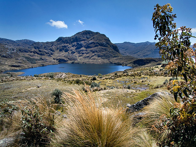 Half Day Private Tour to National Park of Cajas - Cuenca