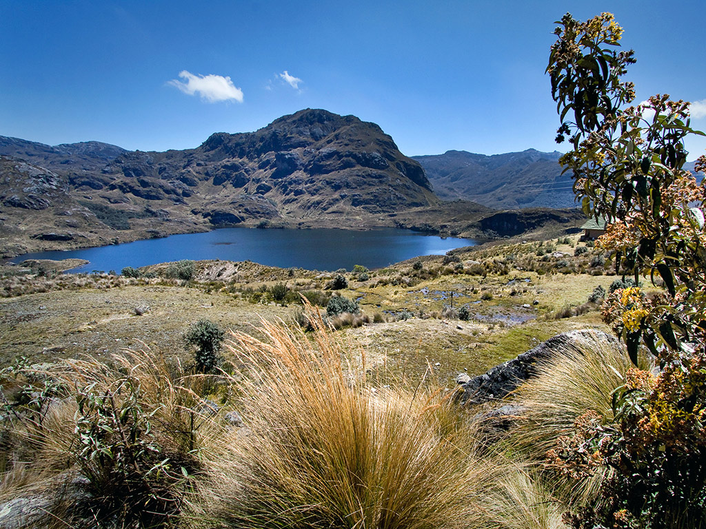 Half Day Private Tour to National Park of Cajas - Cuenca