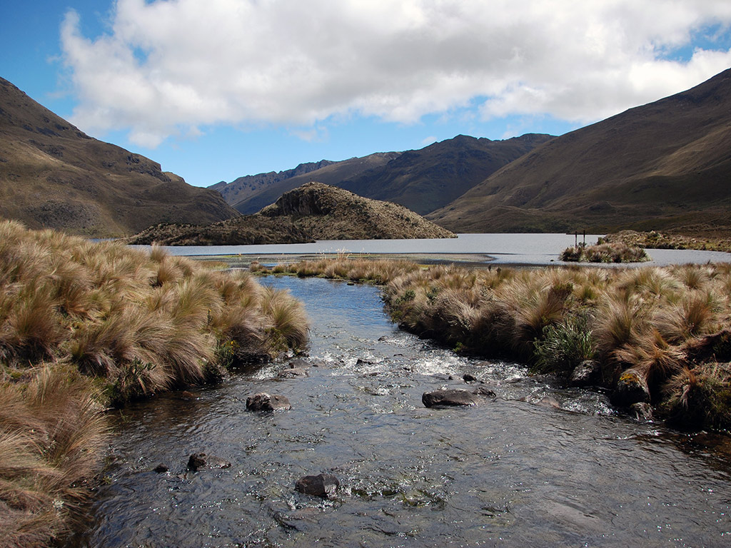 Half Day Private Tour to National Park of Cajas - Cuenca